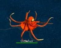 octalus.jpg